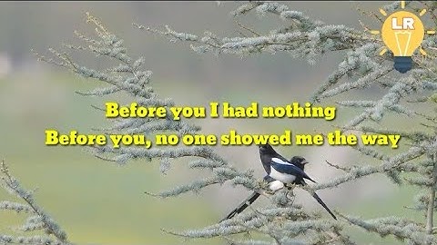 Avant toi - traduction en anglais