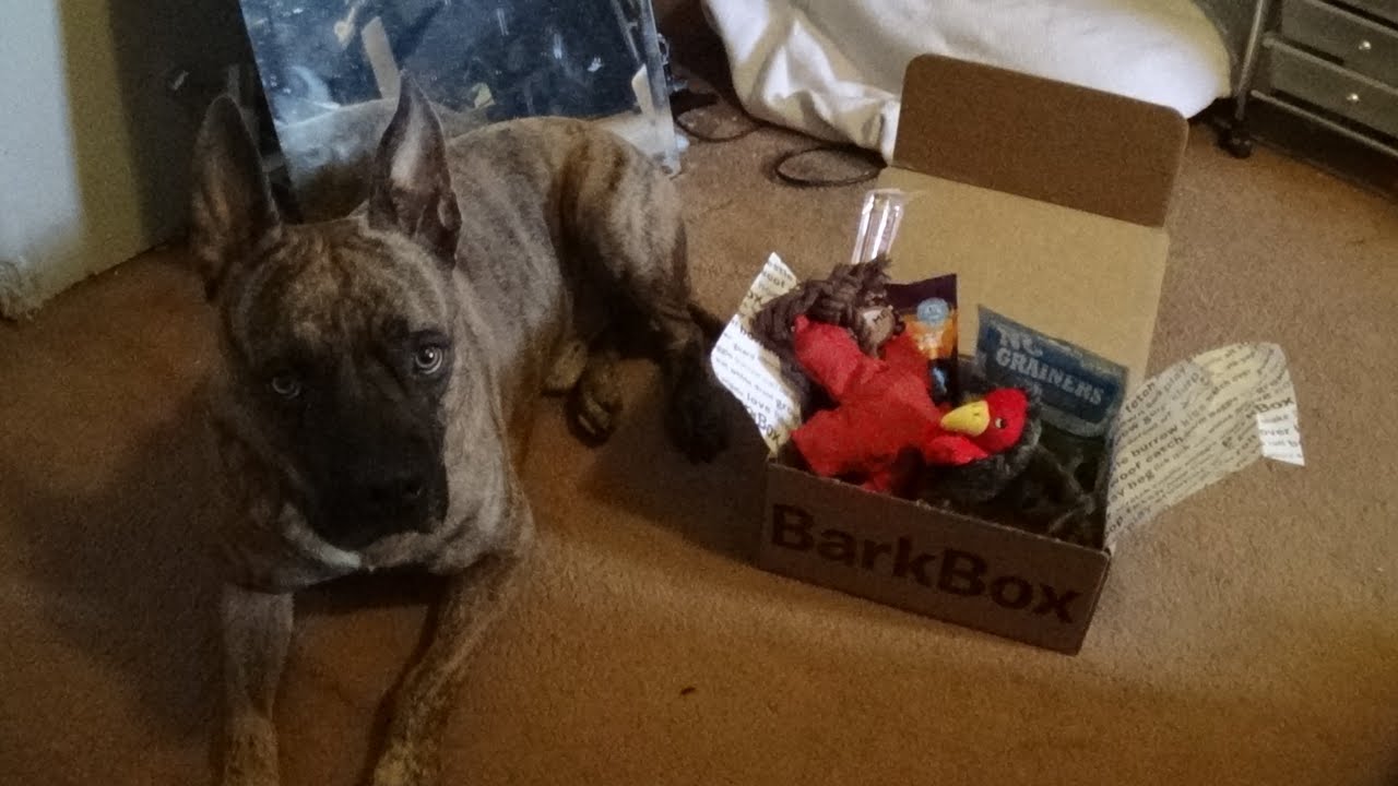 Unboxing Bark Box #3- November 2015