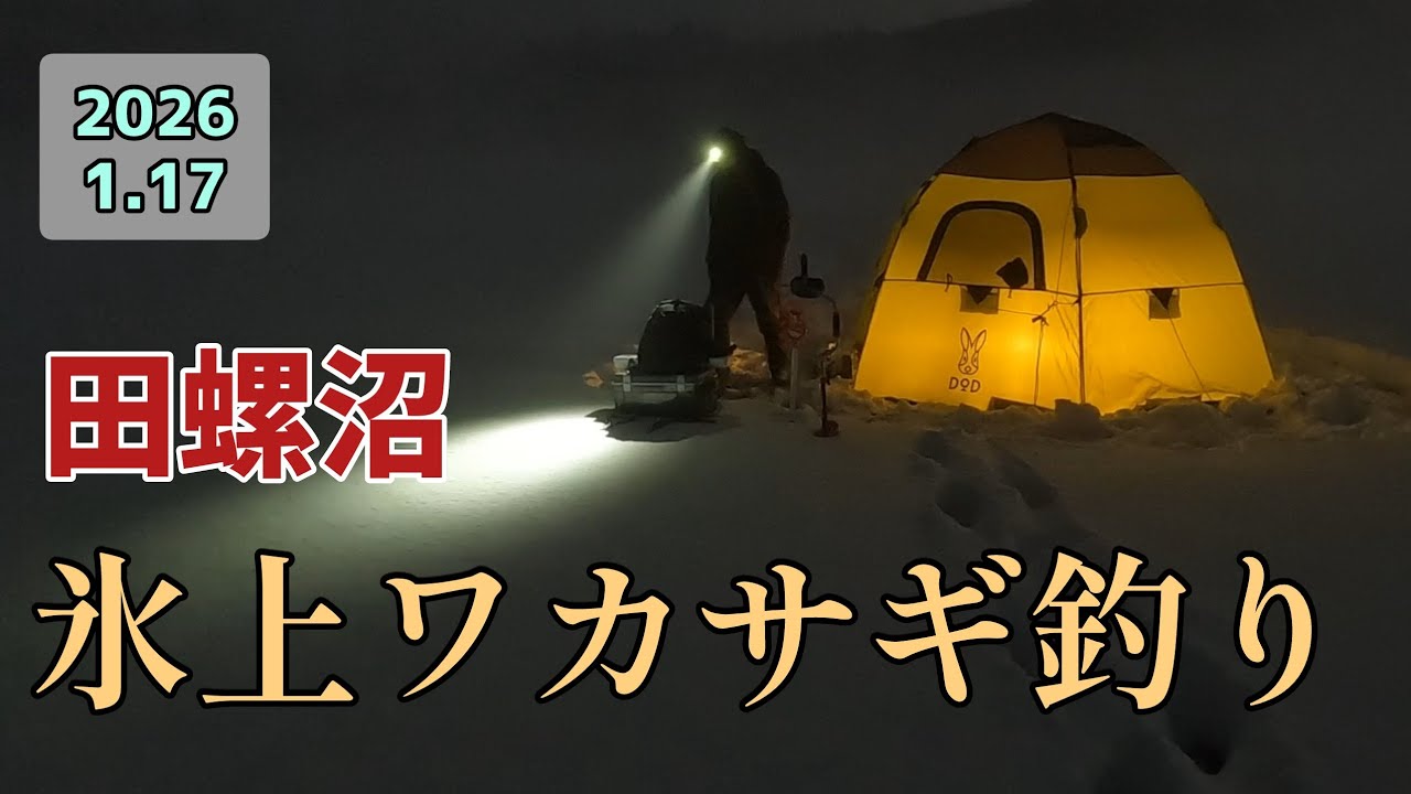 【釣り】ワカサギ釣り。田螺沼　2026/1/17