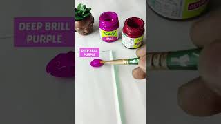 Fuchsia Colour Colour Mixing Fevicryl Acrylic Colours Hobby Ideas