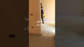 العجمي الهانوفيل شارع الاصدقاء  ٣عددات ٢٥٠الف منتجع فيه حمام سباحة وجنينه