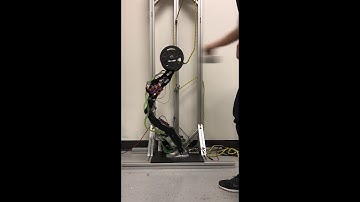 Liquid Cooled Viscoelastic Leg System  - Comprehensive Testing