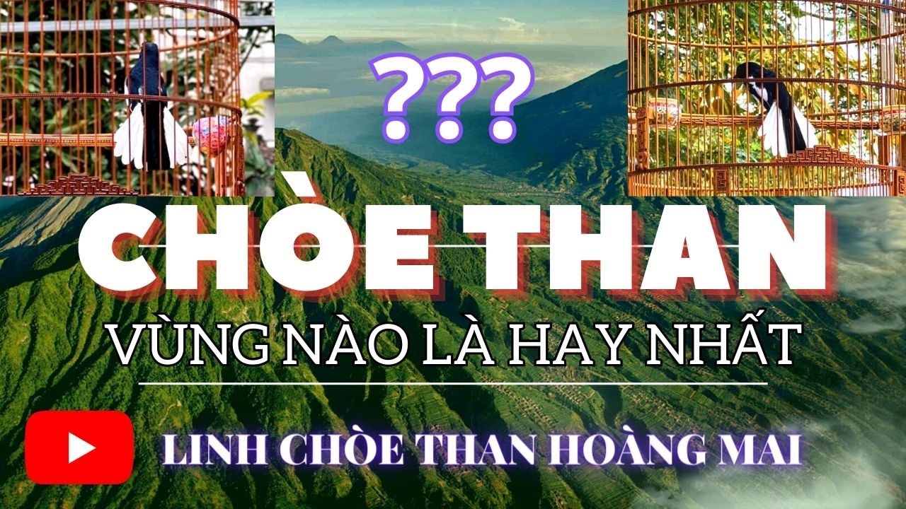 CHÍCH CHÒE THAN vùng nào là hay NHẤT ???