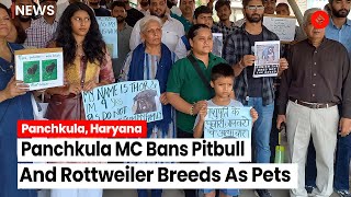 Panchkula MC Imposes Ban Keeping Of Pitbull  And Rottweiler Breeds As Pets, Owners Hold Protest screenshot 2
