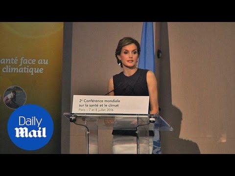 Video: Queen Letizia Zasáhne šaty Ve Výši 55 $