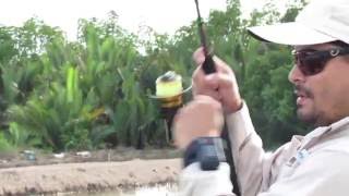 Barramundi: 2- 9 lbs, Malaysia screenshot 5
