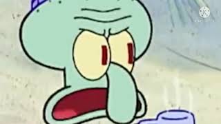 Squid