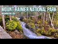 Mt. Rainier WATERFALL Hike - Narada Falls - Full Hike
