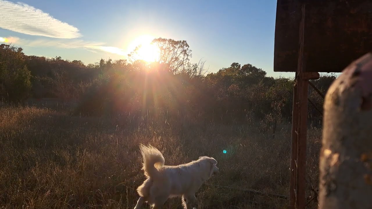 Sunset mid Fall; 55 minutes of classical music.