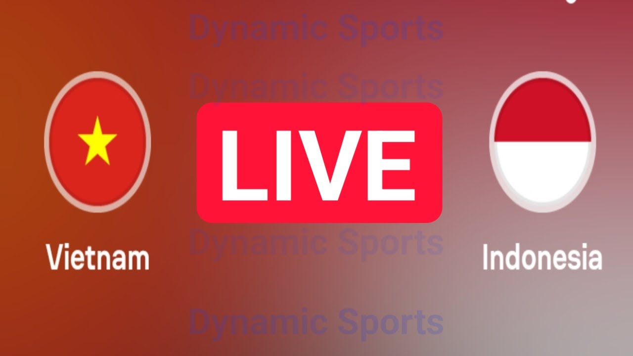 Vietnam vs Indonesia live match AFC Asian Cup 2024 live Indonesia vs