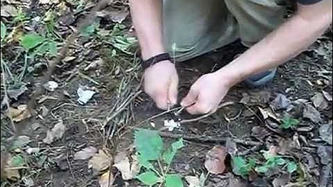 Starting a Fire using WetFire Tablet