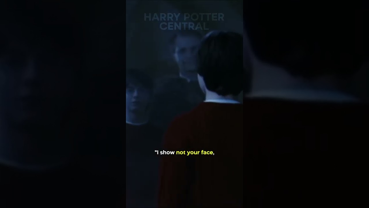 The Mirror Of Erised Had A Hidden Message In HARRY POTTER…