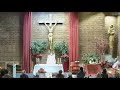 Santa Misa de hoy, miércoles, Epifanía del Señor, Parroquia San Juan Crisóstomo, Madrid, 06 01 2021