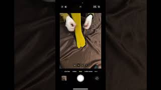 Cch  Kem Bui Ti kembody kemtron yutubeshorts lamdep trngda