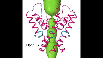 TRPV6 gating – Sobolevsky Lab