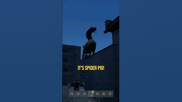 The Most Random Stuff I Saw In DayZ To This Day...