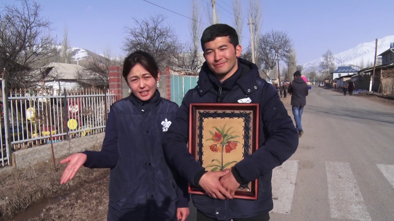 Айгүл гүлү Кара-Кулжада гүлдөдү!