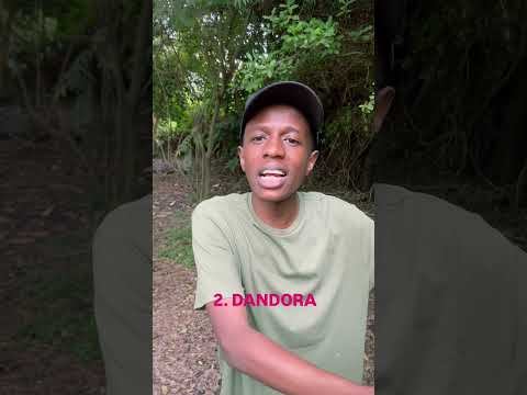 Top Places To Visit In Kenya Funnyvideo