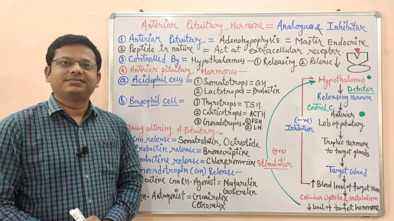 Endocrine Gland  (Part-03) | Anterior Pituitary Hormones Analogues & Inhibitors | Endocrine