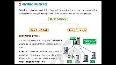 Class VIII Computer Networking Concepts Part 3