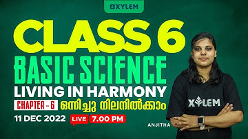 CLASS 6 - Basic Science | Chapter - 6 - Living In Harmony | ഒന്നിച്ചു നിലനിൽക്കാം | Xylem Class 6