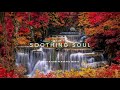 Find Zen Uncover The Secrets Of Relaxing Piano And Flute Meditation Music mp3