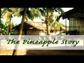 Billy Crone - The Pineapple Story