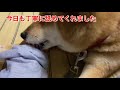【愛情表現】今日も丁寧に舐めてくれました