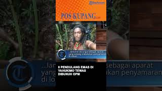 8 Pendulang Emas di Yahukimo Tewas Dibunuh OPM
