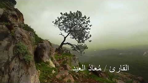 مقطع من سورة مريم | معاذ العيد