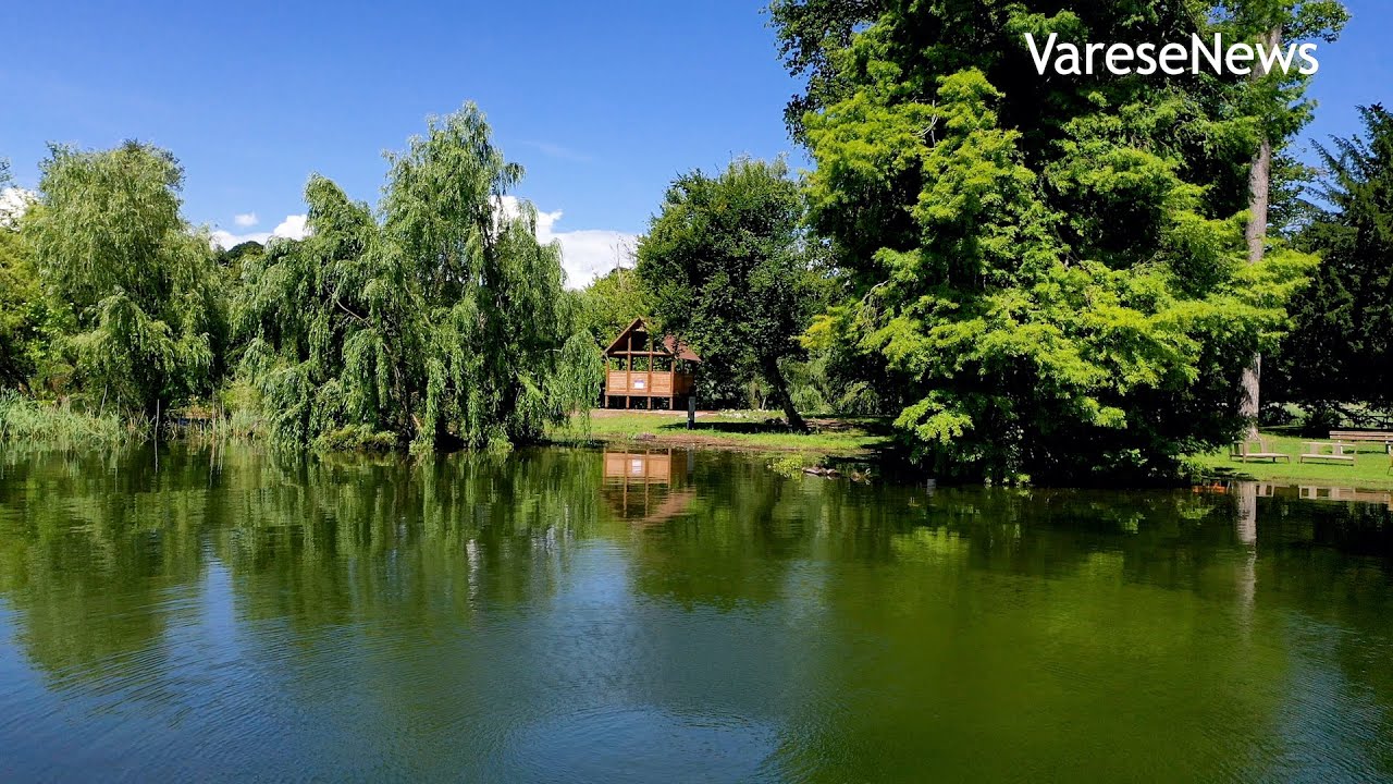 Il Lago di Varese in 4K