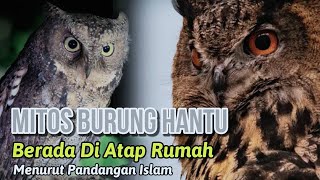 BERHATI HATILAH...!!! ARTI BURUNG HANTU BERADA DI ATAP RUMAH MALAM HARI MENURUT ISLAM