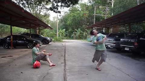 Sony Vegas Pro Clone + Time Freeze Effect