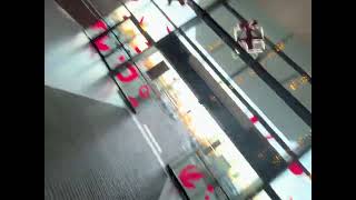 IMG 0065