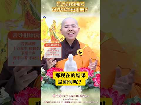 只念几句佛号 可以往生极乐吗？ | 净平法师 开示 | 净土宗经句法语分享[15]