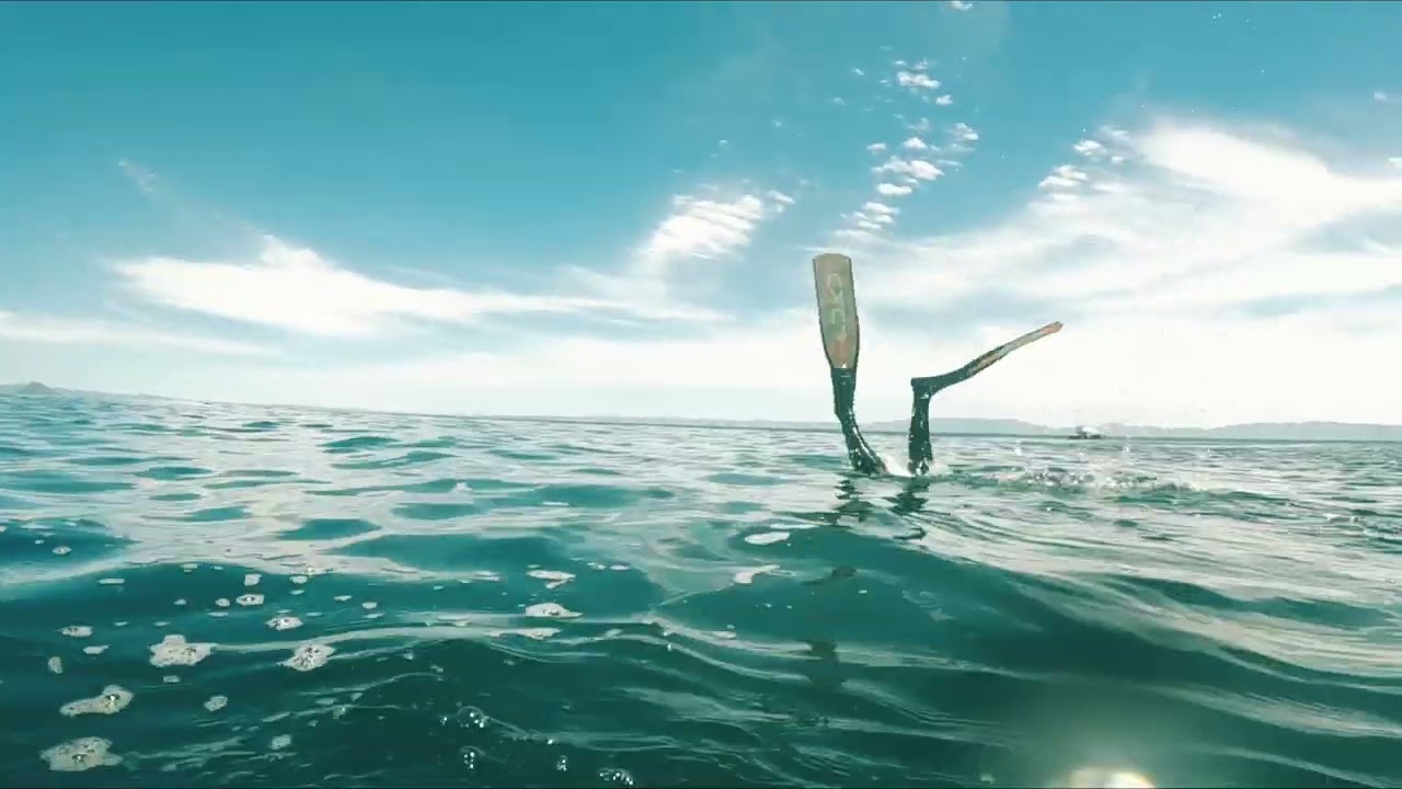 Karewa island, Tauranga