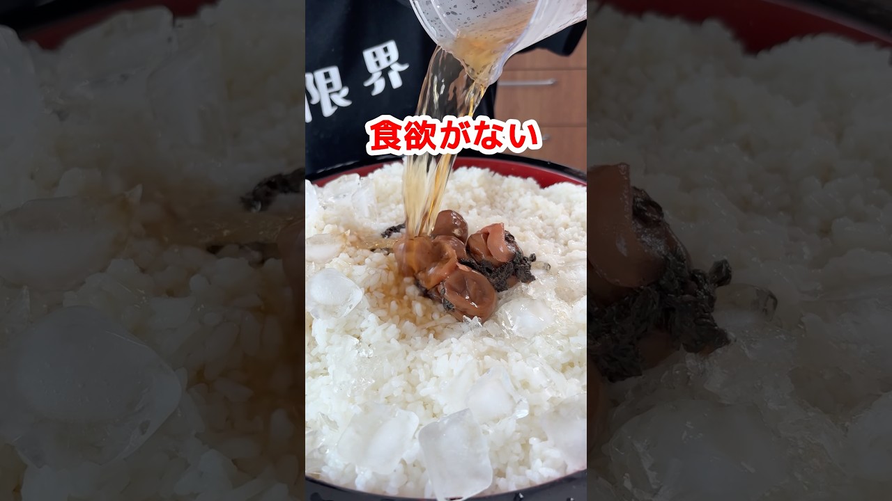 【大食い】夏バテには冷やし梅茶漬け一升 #爆食 #大食い #料理 #モッパン