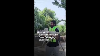 Pakistan Rescuers Save Belongings, Livestock