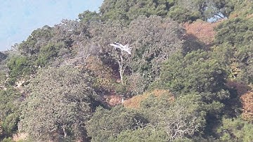 Convergence Transitions