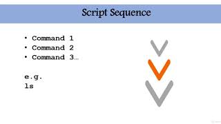 5  Sequence of  Script Execution