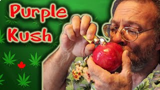 A Pot strain that will In-da-couch you!  Purple Kush!