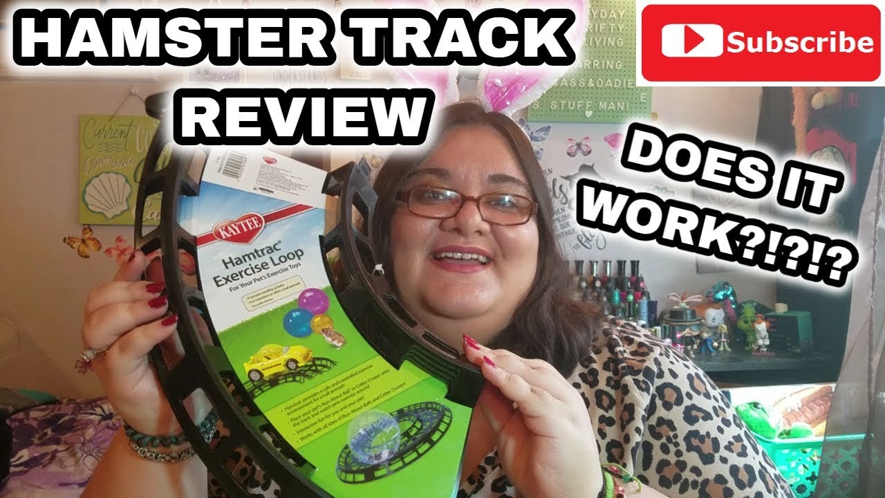 Kaytee Hamtrac Exercise Loop Track Review/Demo - Is It Worth It?!?!?