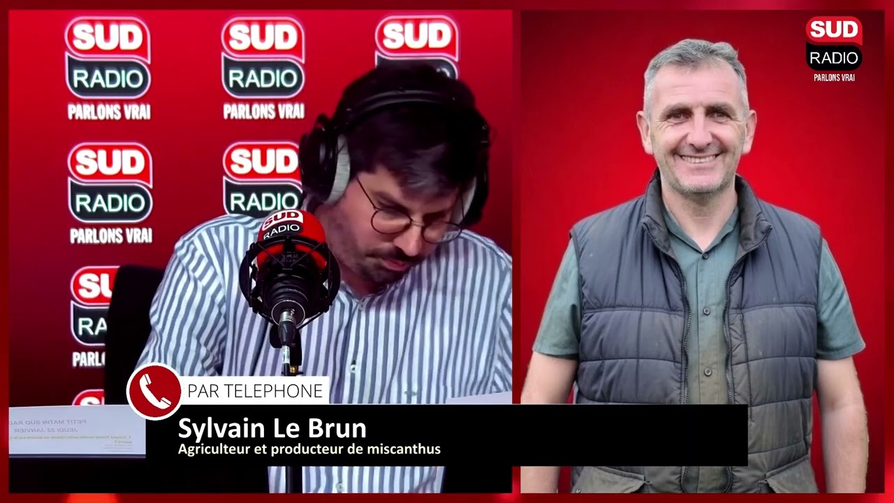 Le miscanthus : une plante d'avenir pour les agriculteurs ?