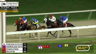 RACE 5 PROGRAM 3-14-2024