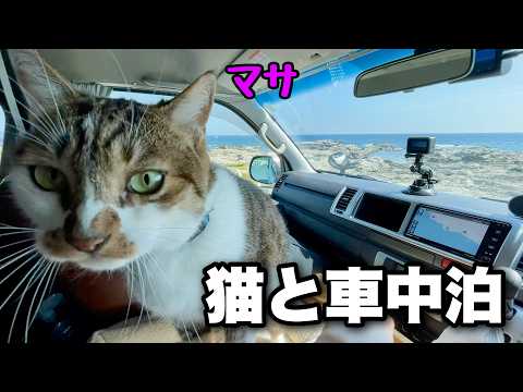 【猫と車中泊】房総半島の海岸線をぐるっとグルメ旅｜猫のマサおすすめのドライブコース｜キャンピングカーのようにDIYしたハイエースで猫のマサと車中泊