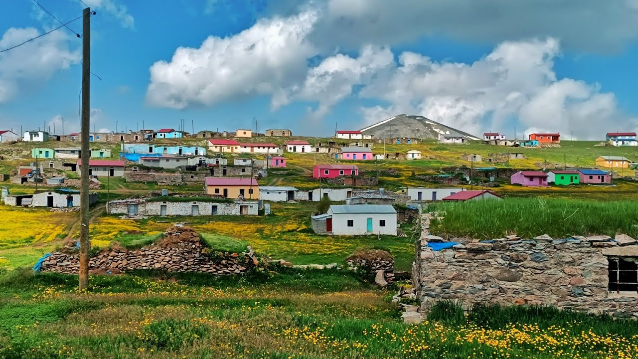 YUKARI GÜNDEŞ @dogalyasamvehayvanciliktv