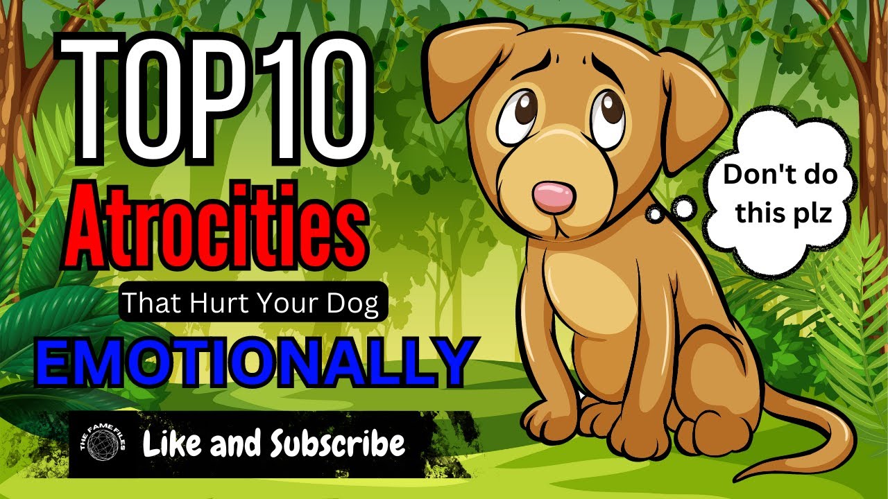 Top 10 Atrocities That Can Emotionally Hurt Your Dog Guide For All top-10-atrocities-that-can-emotionally-hurt-your-dog-guide-for-all