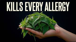 The $1 Weed That Outperforms Your $300 Allergy Pills!