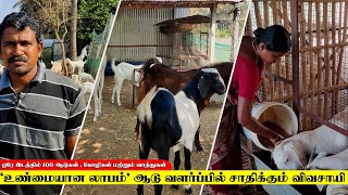 '100 க்கு மேற்பட்ட ஆடுகள் 🐐 ஆட்டுப் பண்ணையில் உண்மையான லாபம் 💰 ஈட்டும் விவசாயி  |  Senthur Goat Farm