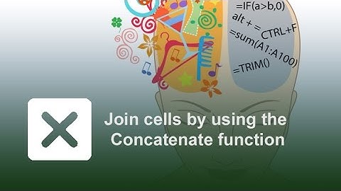 Microsoft Office Excel 2010: Understand the Concatenate function to join several cells into one.